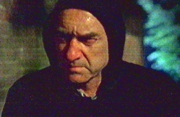 George Irving as Robin Blake/Stuart Mills