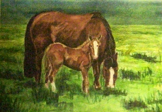 watercolour portrait of horses