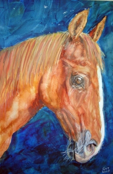 portrait of a ahorse