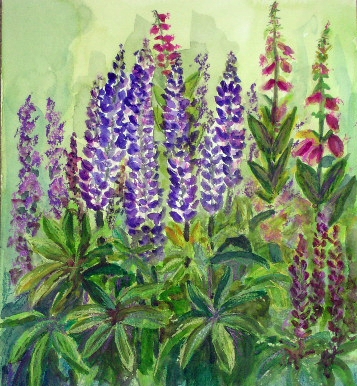 watercolour painting of lupins